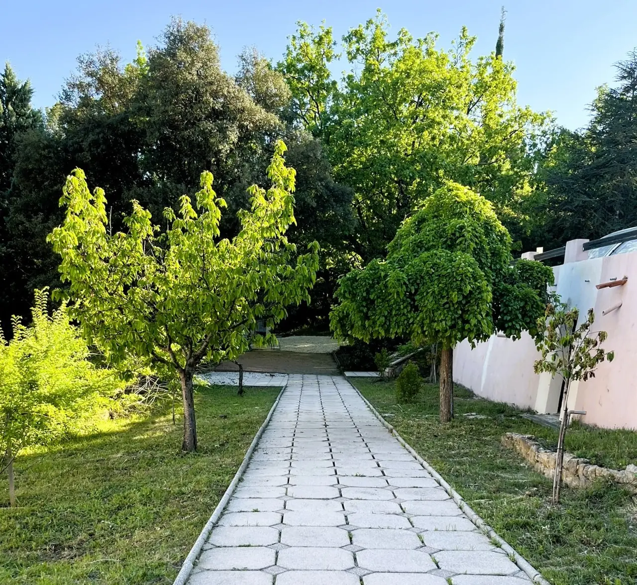 L’allée des cerisiers