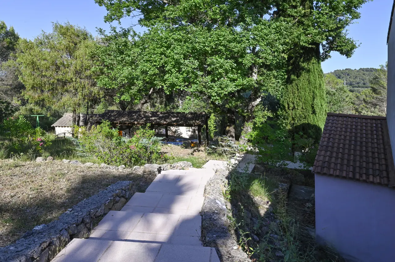 Les chemins du parc